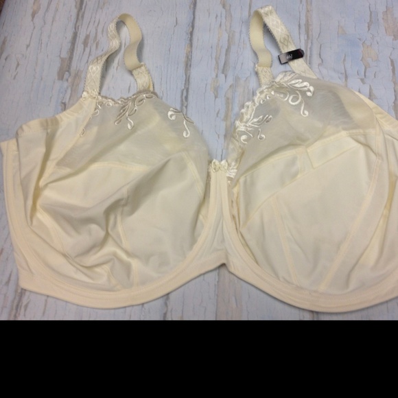 1st & Curve Melrose Full-Figure Cut-n-Sewn Bra - Picture 2 of 4